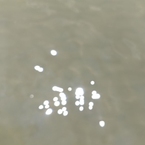 Reflection of Light in Clear Water