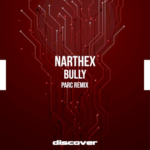 Bully (Parc remix)