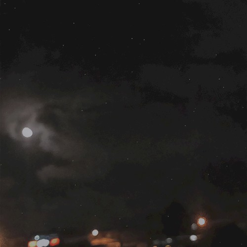wandering