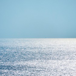 Wait, I See an Albatross!