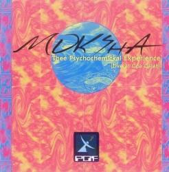 Thee Psychochemikal Experience - Live at Goa Gajah