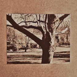 Demo Four