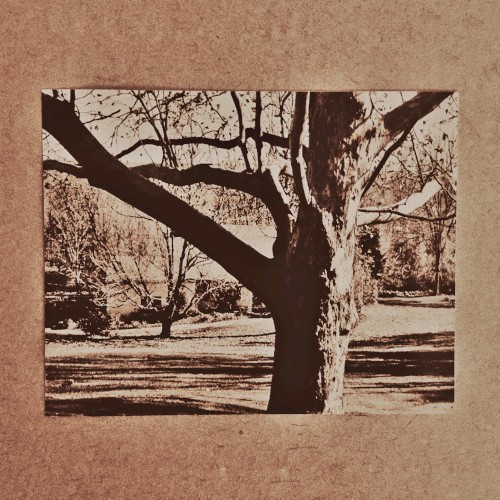 Demo Four