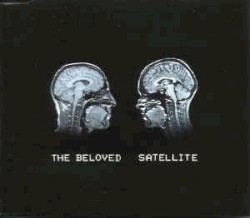 Satellite