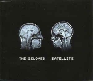 Satellite