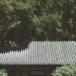 夏至(Summer Solstice)
