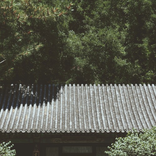 夏至(Summer Solstice)