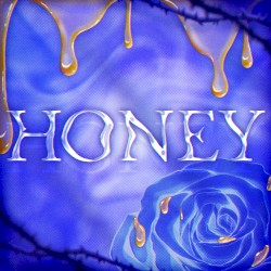 HONEY (Cover)
