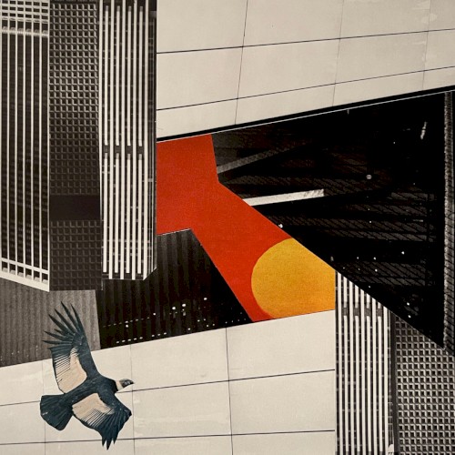 So Many Sunny Days