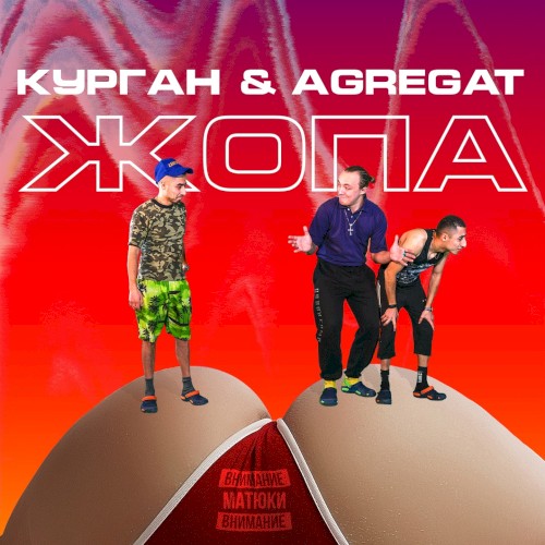Жопа