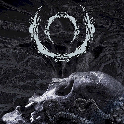Open Wound