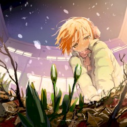 Mado