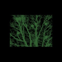 Selected Ambient Works (Volume 1)