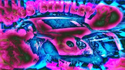 EGGS BENTLEY