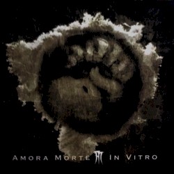 In Vitro