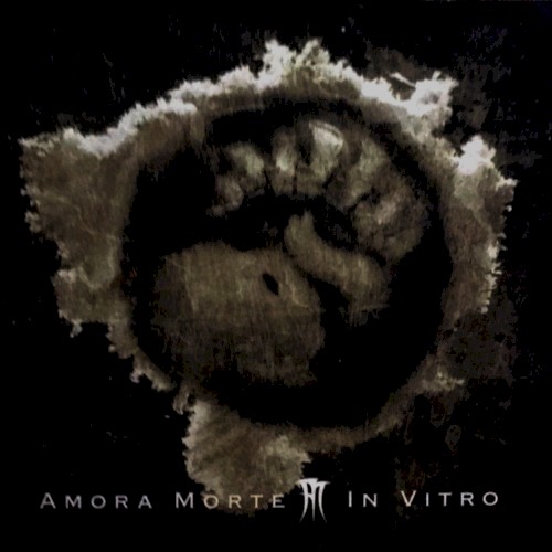 In Vitro