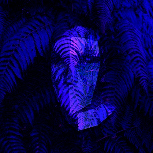 Fractal π