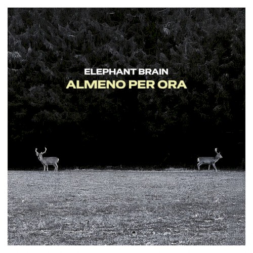 Almeno per ora