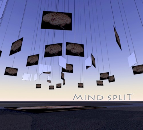 Mindsplit