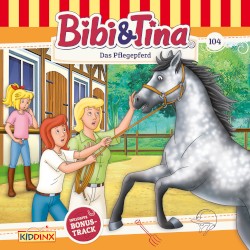 Bibi & Tina, Folge 104: Das Pflegepferd