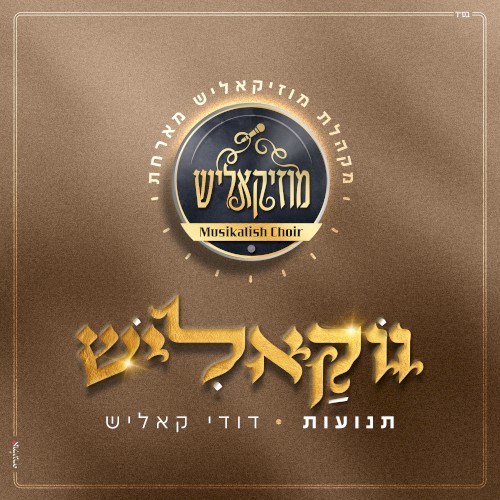 תנועות (ווקאלי)