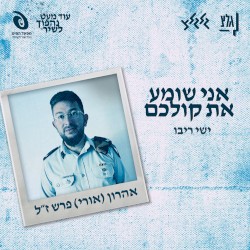 אני שומע את קולכם
