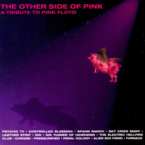 The Other Side of Pink: A Tribute to Pink Floyd