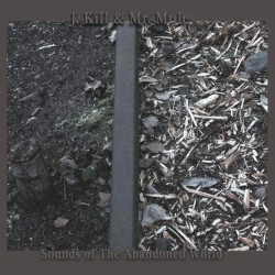 Sounds of the Abandoned World