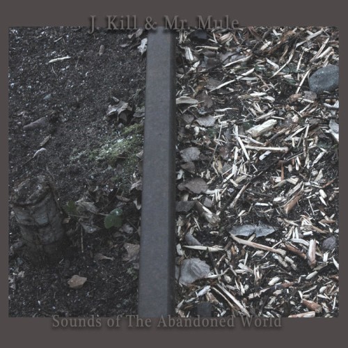 Sounds of the Abandoned World