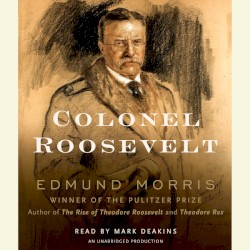 Colonel Roosevelt