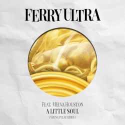 A Little Soul (Young Pulse Remix)