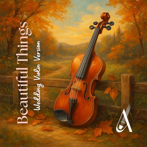 Beautiful Things (Benson Boone Wedding Violin Cover)