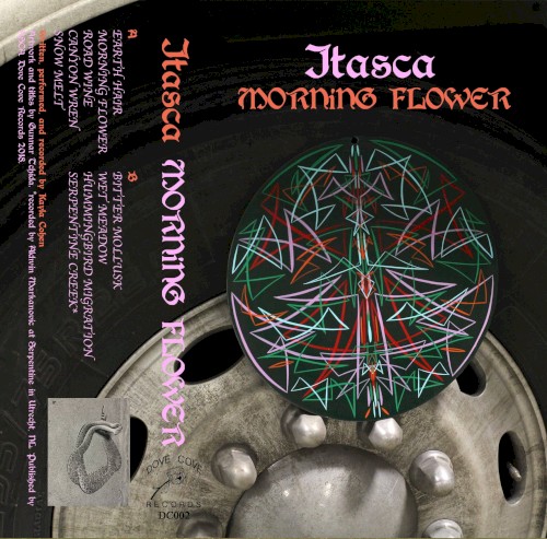 Morning Flower