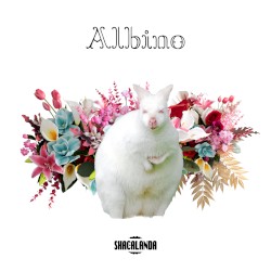 Albino