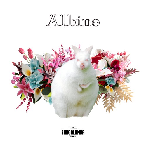Albino