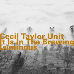 It Is in the Brewing Luminous