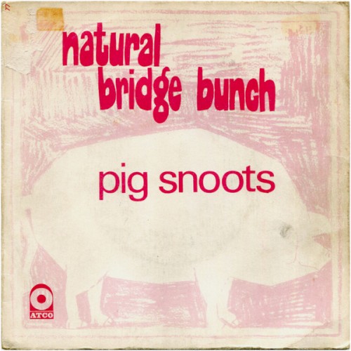 Pig Snoots