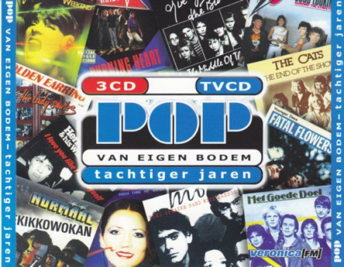 Pop van eigen bodem: Tachtiger jaren