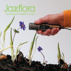 Jazzflora: Scandinavian Aspects of Jazz