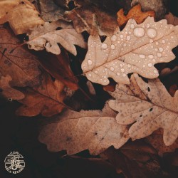 Seasons