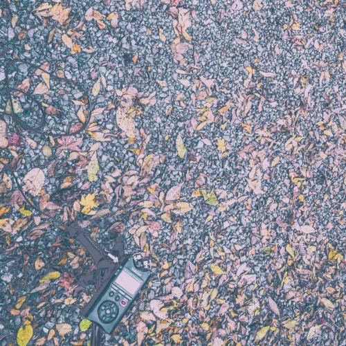 Autumn Soundscape