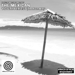 Picture Perfect (Trance Mix)