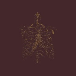 Gnawed Gristle And Bone