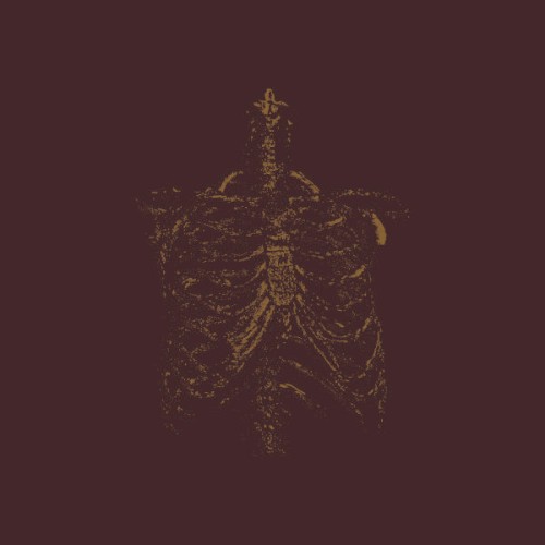 Gnawed Gristle And Bone