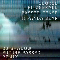 Passed Tense (DJ Shadow Future Passed remix)