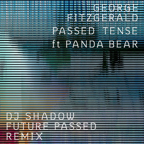 Passed Tense (DJ Shadow Future Passed remix)