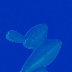 Plastic Blue
