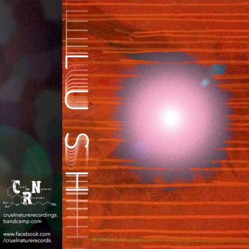 Immunosuppression / Preacher / Cygnus / Consort