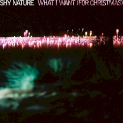 What I Want (For Christmas)