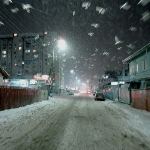 BLIZZARD